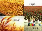 花城版小学音乐一年级上册6.2 歌曲《在农场里》课件（13张）