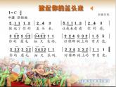 花城版小学音乐二年级上册4.3 欣赏《掀起你的盖头来》课件（9张，内嵌音频）