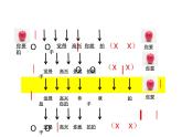花城版小学音乐二年级上册8.2 歌曲《如果你高兴》课件（7张）