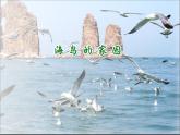 花城版小学音乐二年级上册3.2 歌曲《海鸟的家园》课件（8张）