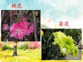 花城版小学音乐二年级下册1.2 歌曲《猜花》课件（24张）