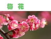 花城版小学音乐二年级下册1.2 歌曲《猜花》课件（12张）