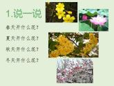 花城版小学音乐二年级下册1.2 歌曲《猜花》课件（7张）