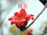 花城版小学音乐二年级下册1.2 歌曲《猜花》课件（10张）