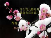 花城版小学音乐二年级下册1.2 歌曲《猜花》课件（10张）