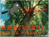花城版小学音乐三年级上册5.2 歌曲《小斑鸠对我说》课件（8张）