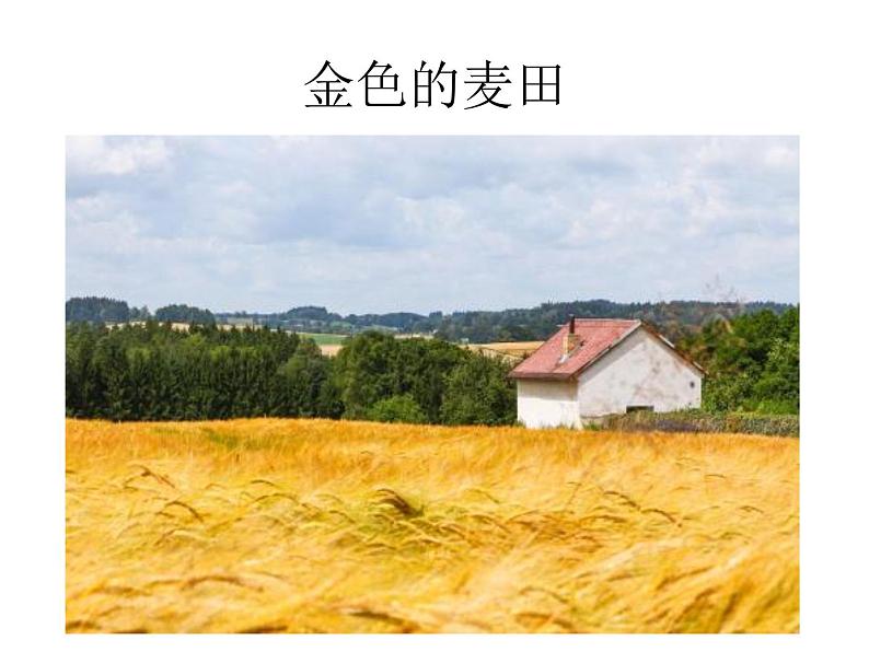 花城版小学音乐四年级上册3.2 歌曲《土风舞》课件（20张，内嵌视频）03