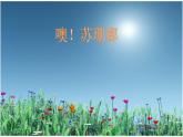 花城版小学音乐四年级下册7.4 歌曲 《噢！苏珊娜》课件（7张）