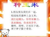 人教新課標二年級音樂上冊-第三單元 種玉米_（課件）