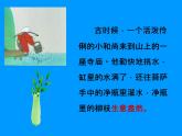 人教新课标二年级音乐上册-第五单元 三个和尚_（课件）