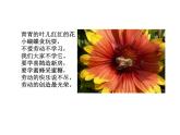 人教新課標二年級音樂上冊-第三單元 勞動最光榮_（課件）