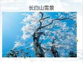 人教新課標二年級音樂上冊（五線譜）-第六單元 唱歌　雪花(1) 課件