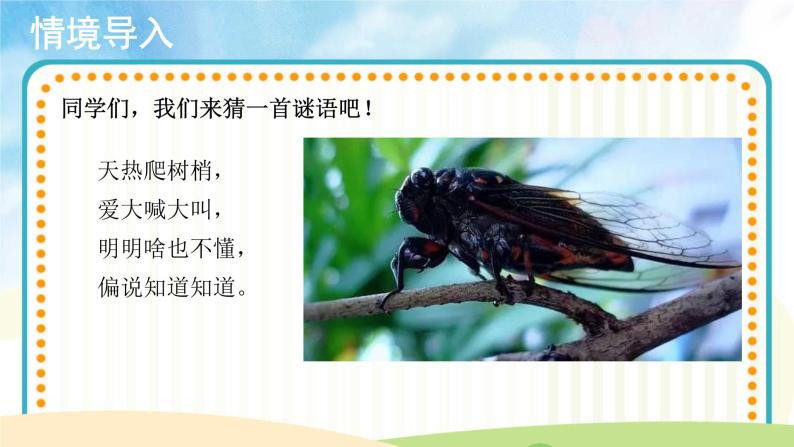 小学音乐人音版二年级下册知了获奖课件ppt