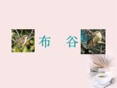 人教小學音樂一上《1.3布谷》PPT課件