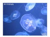 人教小学音乐一上《4.5水族馆》PPT课件