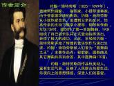 5《藍(lán)色多瑙河圓舞曲》PPT課件 (1)