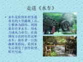 五年級上冊 第五單元森林水車課件PPT