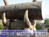 五年級下冊 第二單元木鼓歌課件PPT