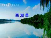 五年級下冊 第三單元西湖美課件PPT