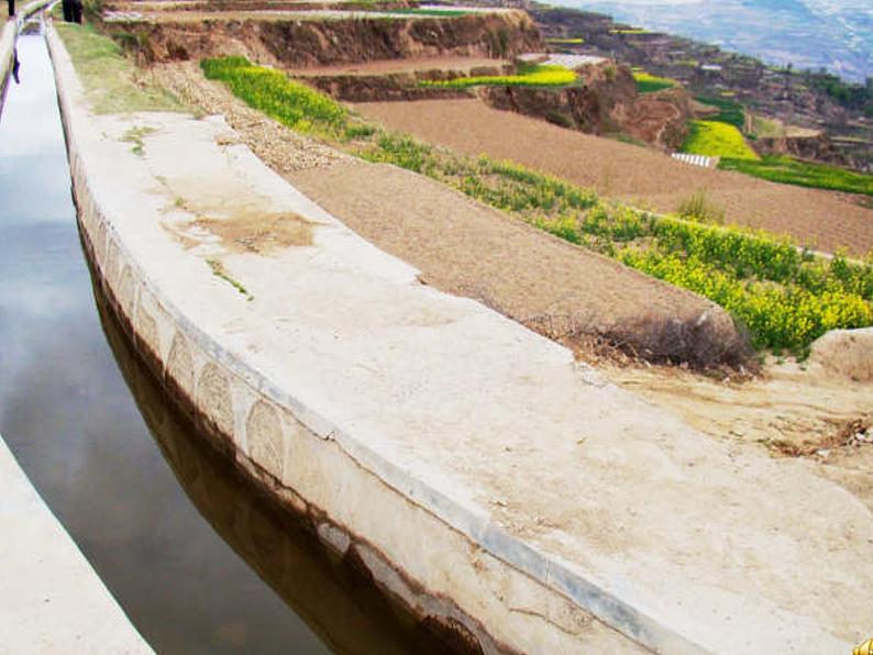 五年级下册 第二单元阿喽喽课件PPT第4页