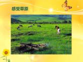 四年級(jí)上冊(cè) 草原放牧課件PPT