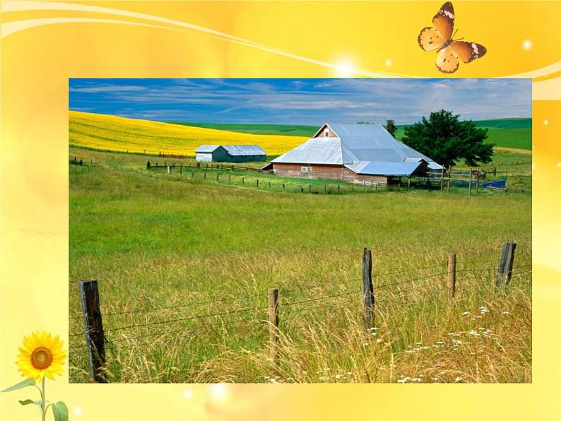 四年级上册 草原放牧课件PPT03