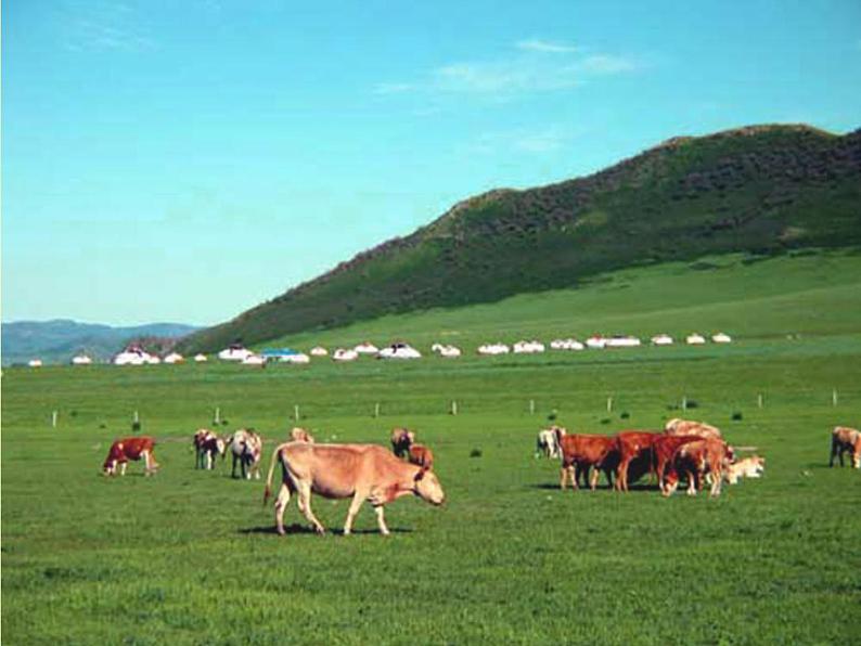 四年级上册 草原放牧课件PPT04