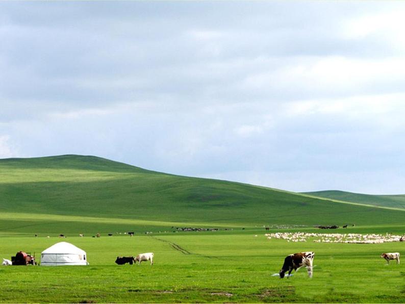 四年级上册 草原放牧课件PPT05