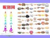 三年级下册 / 第五单元 七彩的生活 贝壳之歌课件PPT