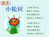 三年级下册 / 第五单元 七彩的生活 《小松树》课件PPT