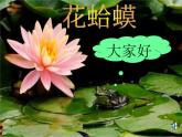 人教小学音乐二上《2花蛤蟆》PPT课件