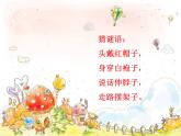 人教新课标三年级上册音乐第二单元 唱歌　老爷爷赶鹅-课件