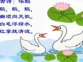 人教新课标三年级上册音乐第二单元 唱歌　老爷爷赶鹅(2)-课件