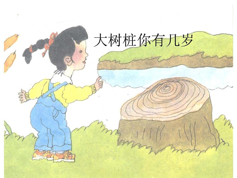 大树桩你有几岁PPT课件免费下载01