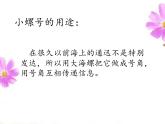 人教版新课标四年级上册音乐 第一单元  小螺号 (2)（课件）