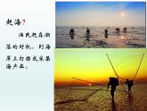人教版新课标四年级上册音乐 第一单元  赶海的小姑娘（课件）