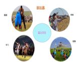 人教版新课标四年级上册音乐 第五单元  唱歌　那达慕之歌（课件）