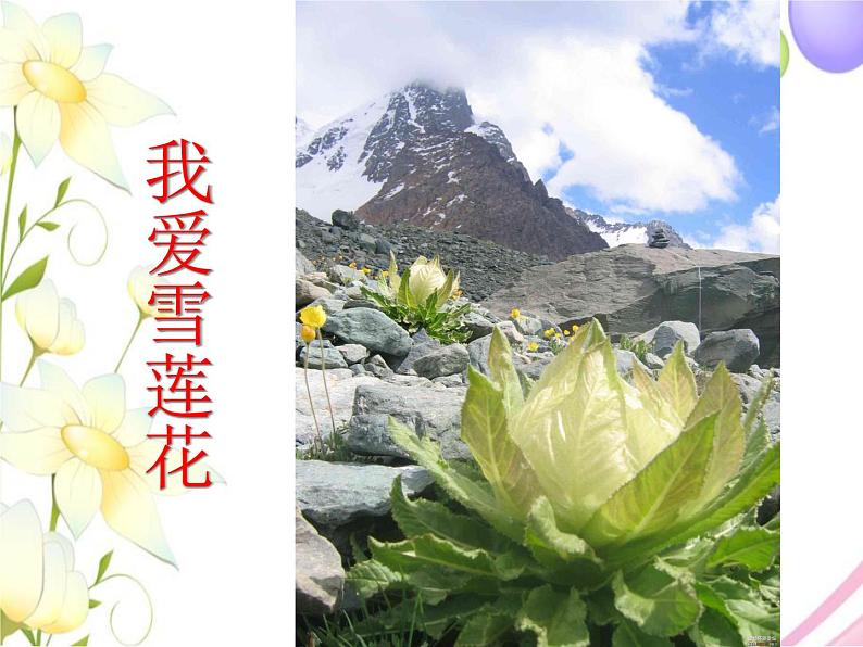 新疆好PPT课件免费下载01