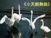 三年级音乐上册第11课四小天鹅舞曲课件3花城版
