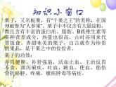 六年级音乐上册第4课栗子大丰收课件湘艺版