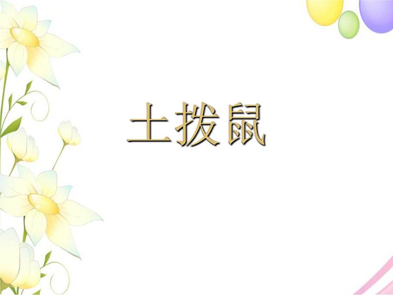 六年级音乐上册第5课土拨鼠课件湘艺版第1页