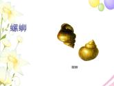 六年级音乐上册第4课神奇的民间锣鼓“螺蛳结顶”课件湘艺版