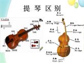 四年级音乐上册第3课小夜曲课件湘艺版