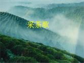 六年级音乐上册第9课采茶歌课件湘艺版