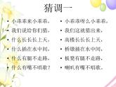 六年级音乐上册第3课猜调课件湘艺版