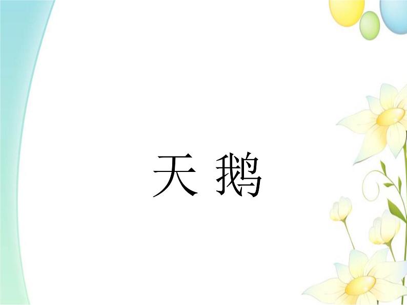 四年级音乐上册第10课天鹅课件湘艺版01