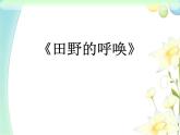 四年级音乐上册第10课田野的呼唤课件2湘艺版
