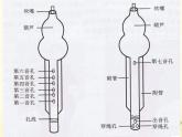 四年级音乐上册第一单元月光下的凤尾竹课件1苏少版
