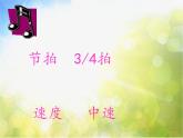 小学三年级上册音乐-第8课《G大调小步舞曲》--花城版(10张)ppt课件