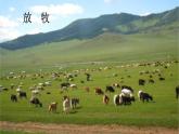 人音版（簡(jiǎn)譜） 五年級(jí)上 第2課  嘎達(dá)梅林（安波記譜譯配） 課件（12 張PPT）